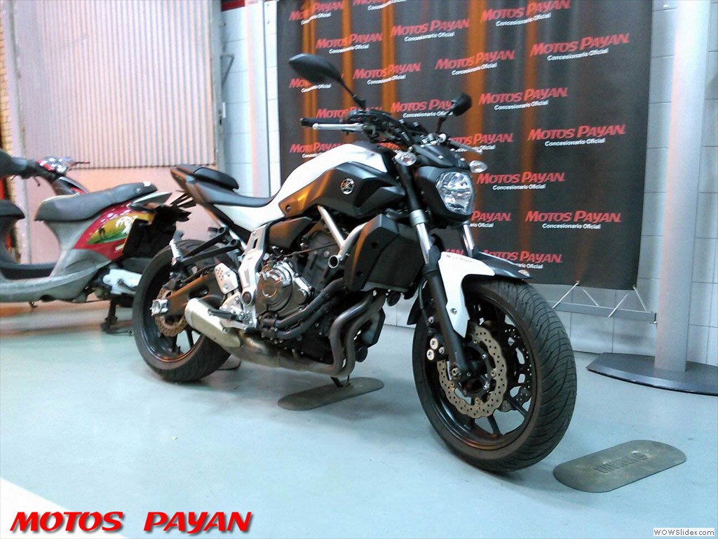 GARANTIA Y TRANSFERENCIA INCLUIDA 